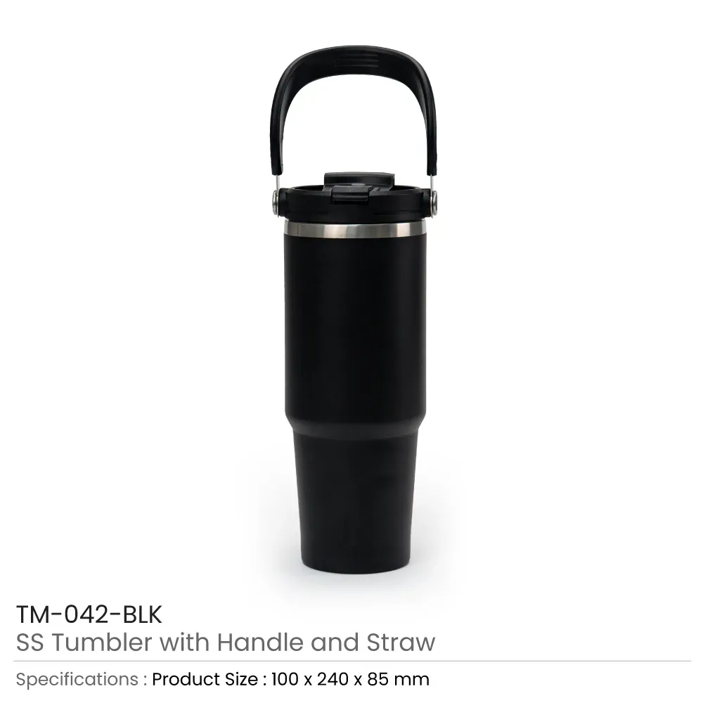 Tumbler with Handle and Straw SS Double Wall 900ml