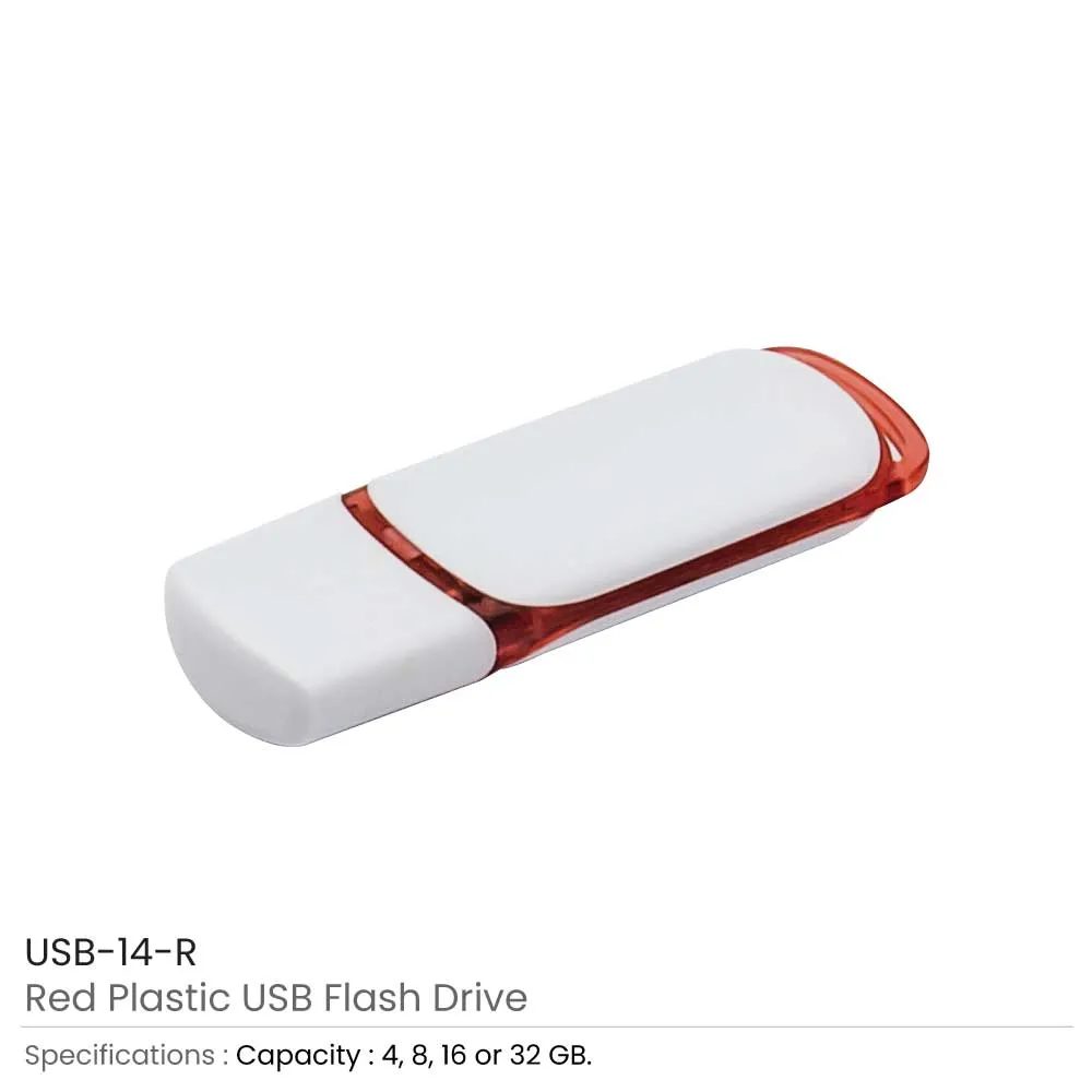 Promotional Plastic USB