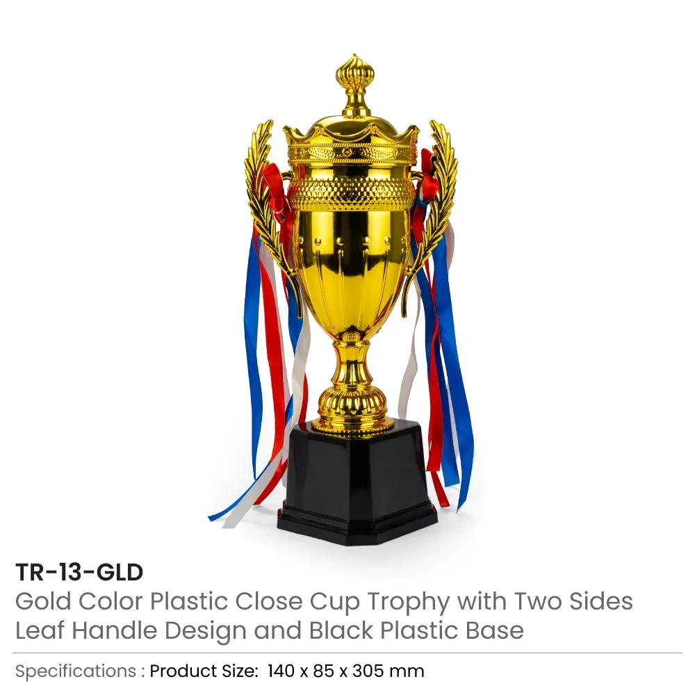Small Cup Trophy with Removable Ribbon Attached to Both Handles